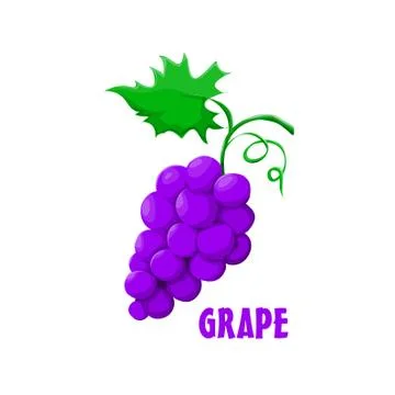 Logo Grape vector farm design Stock Illustration