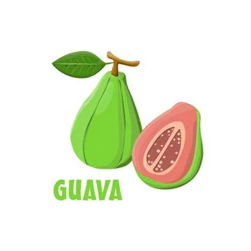 Logo Guava vector farm design Stock Illustration