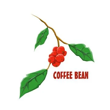 Logo Icon Design Coffee Bean Farm Stock Illustration