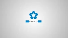 Logo Ident Stock After Effects