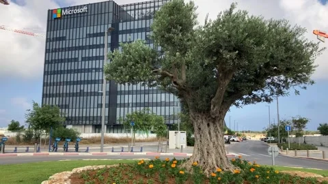 Logo Microsoft research and development center Stock Footage 244981855