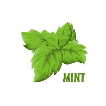 Logo Mint vector farm design Stock Illustration