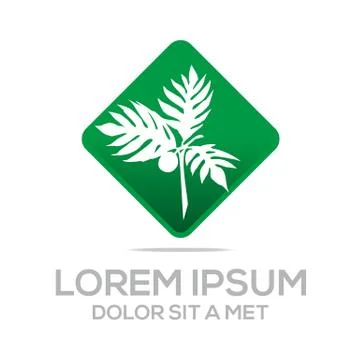 Logo palm tree natural vector symbol Stock Illustration