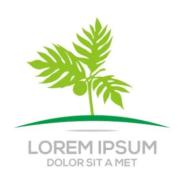 Logo palm tree natural vector symbol Illustrazione stock