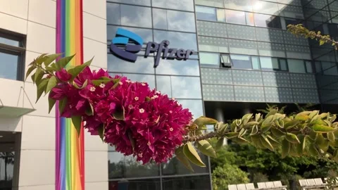 Logo Pfizer Inc. on building facade Stock Footage 244981887
