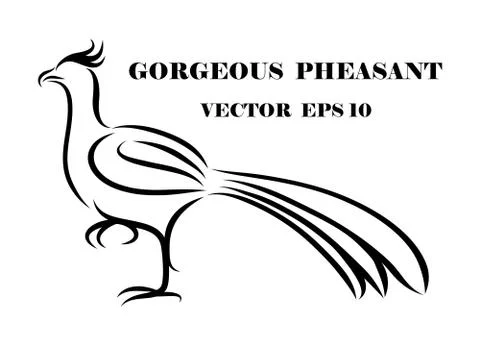 Logo of pheasant eps 10 Stock Illustration