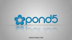 Logo Reveal Stock After Effects