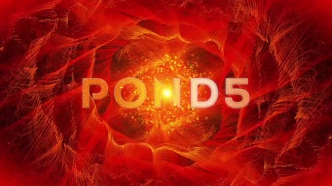 Logo reveal with blossoming rose Stock After Effects