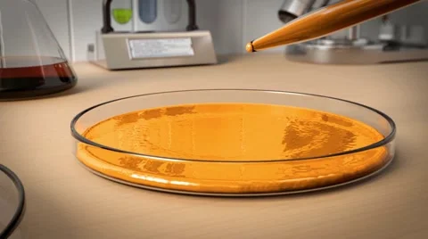 Logo Reveal - Petri Dish Experiment 스톡 After Effects