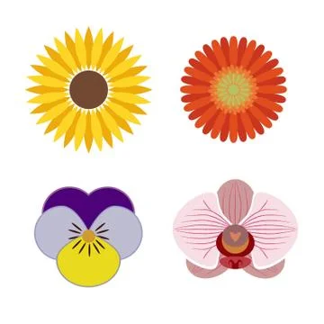 Logo set of graphic flower elements 스톡 일러스트
