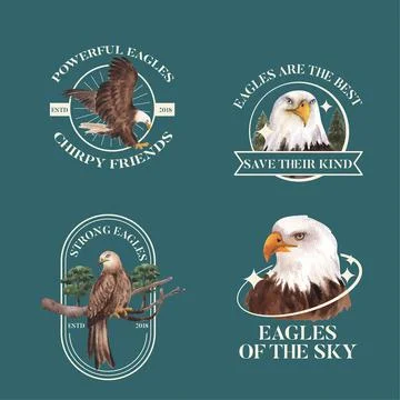 Logo template with bald eagle concept,watercolor style. Illustrazione stock