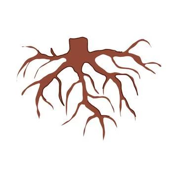 Logo tree root cartoon vector illustration Stock Illustration