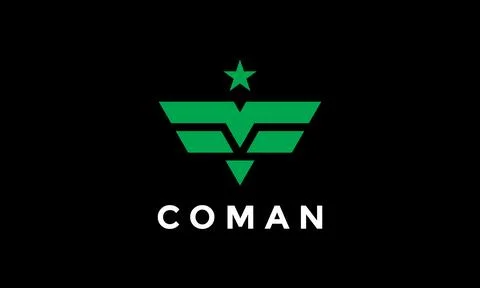 Logo vector green wings star army shield security icon force airplane concept Stock Illustration
