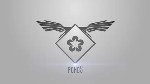 Logo Wing Stock After Effects