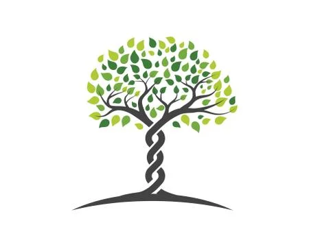 Logos of green Tree leaf vector Stock Illustration