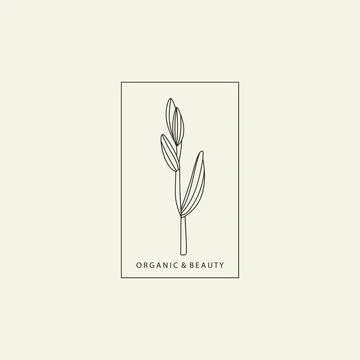 Logotype element Plant part drawn in lines Stock Illustration