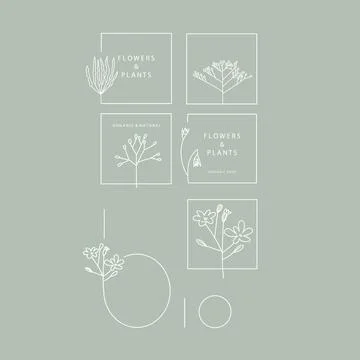 Logotype elements. Organic and nature. Plants drawn in lines Stock Illustration