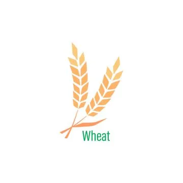 Logotype template with wheat. Stock Illustration