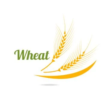Logotype template with wheat. Stock Illustration