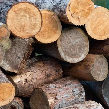Logpile Stock Photos