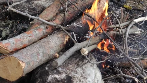 Logs and Branches in a Campfire Stock Footage 292562748