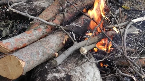 Logs and Branches in a Campfire (Slow-Motion) Stock Footage 292562759
