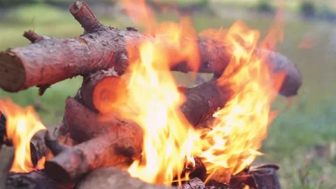 Logs and Flames in the Campfire Stock Footage 300048061