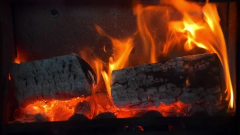 Logs and ovoids burning. Stock Footage 321470437