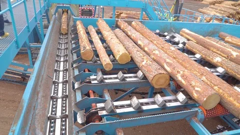 Logs are being transferred one by one on the sawmill machine Stock Footage 74863909