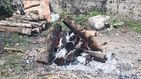 Logs are burning. A burning fire. Flames of burning wood logs Stock Footage 284383103