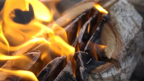 Logs are burning in slow motion. Stock-Footage 164380425