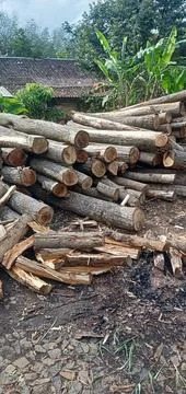 Logs Are Piled Up Stock Photos