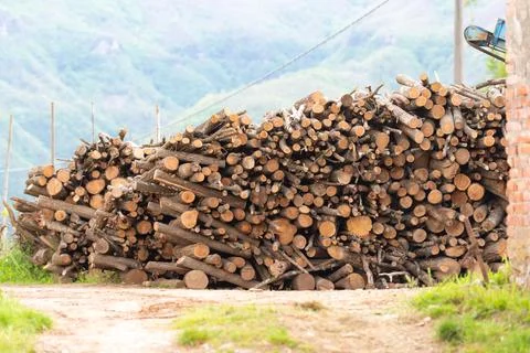 The logs are stacked Stock Photos