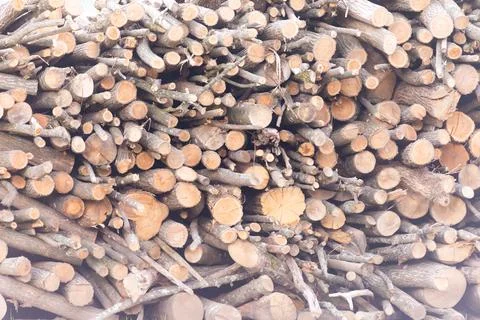 The logs are stacked Stock Photos