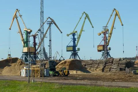 Logs are stacked in the port for loading onto ships. Stock Photos
