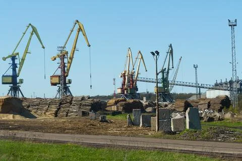 Logs are stacked in the port for loading onto ships. Stock Photos