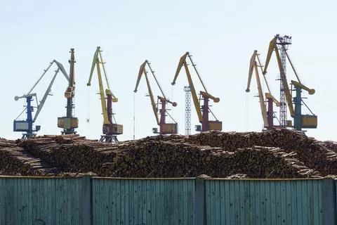 Logs are stacked in the port for loading onto ships. Stock Photos