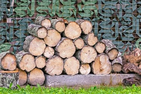 Logs of aspin. Stock-Fotos