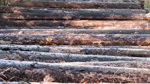 Logs background close Stock Photos