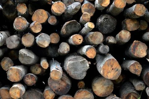 Logs background Stock Photos