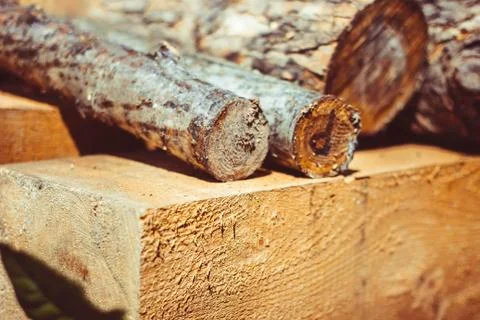 Logs, bark and chips are on the green Photos