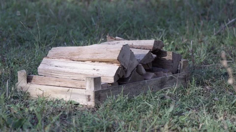 Logs in a basket Stock Footage 119104832