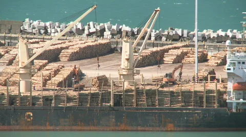 Logs being loaded onto ship  Stock Footage 563040