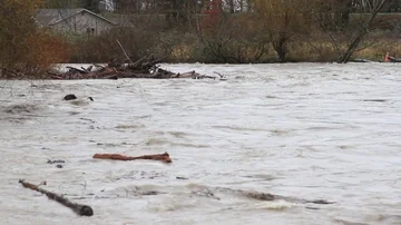 Logs, branches and sticks floating in flooding river Stock Footage 85656007