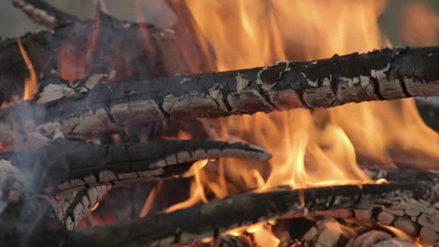 Logs burn in the bonfire, close-up view, summer evening Stock Footage 99479406
