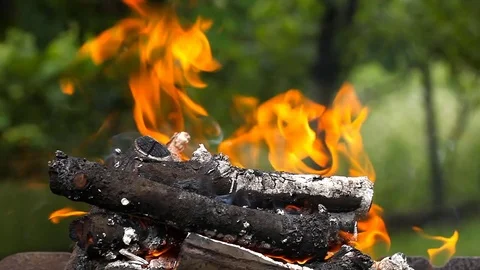 Logs burn with a bright flame Stock Footage