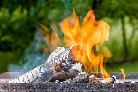 Logs burn with a bright flame 库存照片