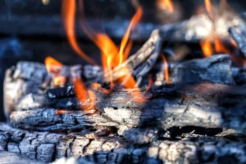 Logs burn with a bright flame Fotos Stock