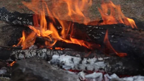 Logs Burning in a Campfire (Closeup) Stockbeeldmateriaal 301410037