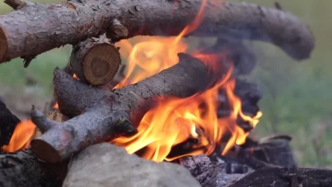 Logs burning in the Campfire Stock Footage 300047885